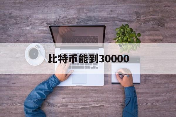 比特币能到30000(比特币能到20万美元吗)